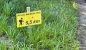 Trail Walking Plancher-les-Mines - 130722 - La planche des belles - au pieds du Ballons d’Alsaces - Photo 1