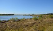 Randonnée A pied Fockbek - Rundweg Fockbeker Moor - Photo 10