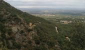 Tour Wandern Laroque-des-Albères - Dolmen - Photo 3