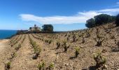 Trail Walking Port-Vendres - Port Vendres Collioure sur les hauteurs et la côte  - Photo 10