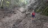 Trail Walking Manigod - ARAVIS: POINTE D'ORSIERE VARIANTE - Photo 1