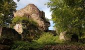 Percorso Marcia Grendelbruch - Grendelbruch - château de Guirbaden - châtaignes - Photo 18