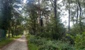 Trail Walking Houthalen-Helchteren - patit tout en campine - Photo 13