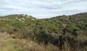 Tocht Stappen La Croix-Valmer - Cap Lardier Cap Taillat-24-01-224 - Photo 12