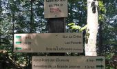 Trail Walking Annecy - ANNECY ... le sentier des crêtes. - Photo 7