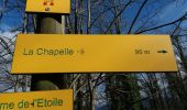 Trail Walking La Chapelle-du-Mont-du-Chat - MONT DU CHAT: LES BELVEDERES - Photo 3