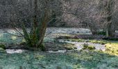 Tour Wandern Le Ménil - Boucle au départ des chalets de la 