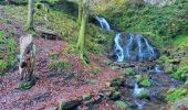 Trail Walking Bad Peterstal-Griesbach - Bad Peterstal - cascade du Holchen - lac de Glaswald – échelle de la chaire du diable - cascade de Griesbach - Photo 17