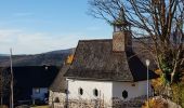 Tocht Te voet Neuschönau - Zaunkönig - Photo 4