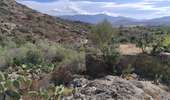 Trail Walking Palasca - l'ostriconi  - Photo 2