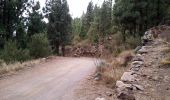Trail On foot Los Realejos - Camino de Chasna - Photo 1