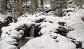 Tour Wandern Le Tholy - petit tholy trou de l'enfer  - Photo 3