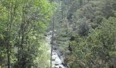 Randonnée Marche Olmi-Cappella - Sentier découverte dans la forêt de Tartagine - Photo 6