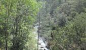 Excursión Senderismo Olmi-Cappella - Randonnée dans la forêt de Tartagine - Photo 6