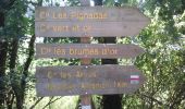 Trail On foot Bommes - Les Brumes d'Or : circuit départemental - Photo 5