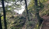 Randonnée  Le Valtin - Sentier des roches frankenthal col de la schlucht - Photo 11