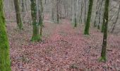 Trail Walking Meix-devant-Virton - Gite-de-gaume : Entre France et Belgique  - Photo 4