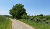 Trail Walking Braine-le-Comte - GRP127 : De Hennuyères à Nivelles - Photo 12