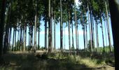 Tour Zu Fuß Unbekannt - Rundwanderweg Vogel - Photo 5