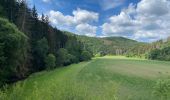 Randonnée Marche Kiischpelt - Escapardenne Eisleck Trail: Kautenbach - Clervaux - Photo 16