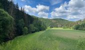 Percorso Marcia Kiischpelt - Escapardenne Eisleck Trail: Kautenbach - Clervaux - Photo 16