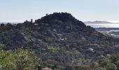 Excursión Senderismo La Crau - Chapelle du Fenouillet & Château de Hyères - Photo 19