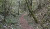 Trail Walking Chambolle-Musigny - 20211015 - Photo 8