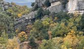 Trail Walking Tourves - Caramy antoine - Photo 20