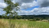 Randonnée Marche Nassogne - Forriere vers Masbourg  - Photo 14