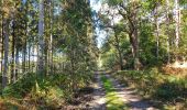 Tocht Stappen Beauraing - Balade à Froidfontaine - Beauraing - Photo 6