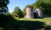 Tour Wandern Artannes-sur-Indre - Artannes-sur-Indre - la Mânerie - GRP PR - 14.5km 100m 3h00 - 2021 06 05 - Photo 4