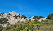 Excursión Senderismo Le Revest-les-Eaux - Le tour du mt Caume - Photo 8