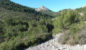 Tour Wandern Marseille - Calanques, cirque des Pételins-08-11-2023 - Photo 2