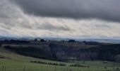 Trail Walking Houffalize - rando nadrin 14/03/2021 - Photo 1