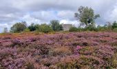 Tour Wandern Saint-Sauveur-le-Vicomte - St Sauveur Besneville boucle - Photo 5