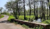 Tour Wandern Neufchâteau - Verlaine - Cap au vert - Photo 5