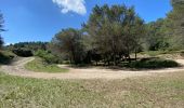 Tour Wandern Cheval-Blanc - Les gorges du Regalon  - Photo 16