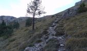 Tour Wandern Bézaudun-sur-Bîne - Couspeau - Le Grand Delmas - Photo 2