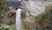 Trail Walking Coursegoules - 2020-10 Trace circuit du vieriou - Photo 15