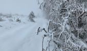 Trail Walking Murol - Le tour de Beaune le froid  - Photo 8
