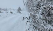 Tocht Stappen Murol - Le tour de Beaune le froid  - Photo 8