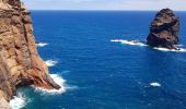 Randonnée Marche Caniçal - Presqu'île de Sao Lourenço - Photo 6