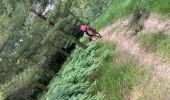 Trail Horseback riding Roybon - Roybon  - Photo 4