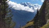 Trail Walking Chamonix-Mont-Blanc - TMB8 CAF 24 - Photo 10