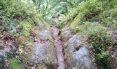 Trail Walking Rimbach-près-Masevaux - Haute Bers - Photo 14