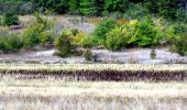Tour Wandern Flassans-sur-Issole - SityTrail - Flassans rando Redon 2 - Photo 17