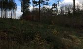 Trail Walking Bouillon - Bouillon L’Epine - Photo 1