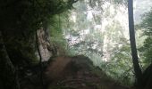 Excursión Senderismo Saint-Julien-en-Vercors - le pont du diable - Photo 11