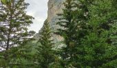 Tocht Stappen Entremont-le-Vieux - Refuge de l'Alpette - Photo 8