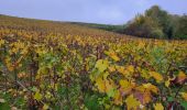 Excursión Senderismo Château-Thierry - RandoDimanche du 10-11-2024 - Photo 1